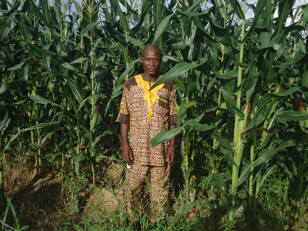 Agriculture