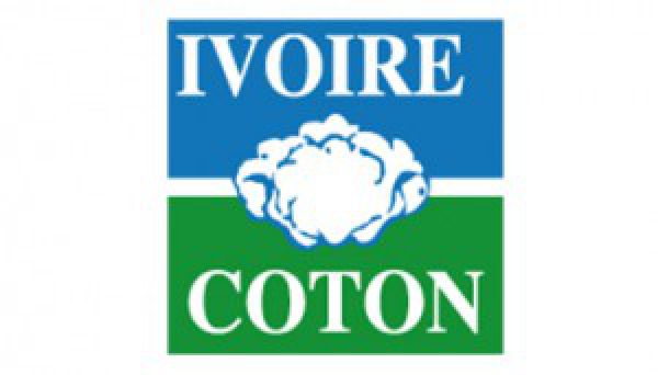 Ivoire Coton